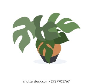 Ilustración moderna de la planta en maceta de Monstera del diseño plano, icono plano