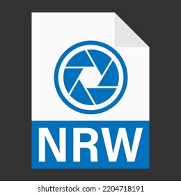 Modern flat design of NRW file icon for web