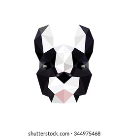 Modern flat design with origami french bulldog isolated on white background