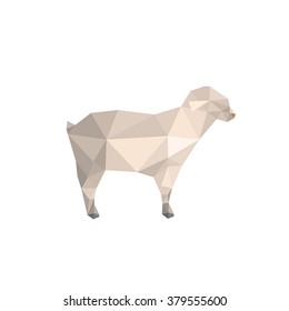 Modern flat design with origami lamb isolated on white background