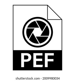 Modern flat design of PEF file icon for web