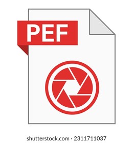 Modern flat design of PEF file icon for web