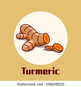 Modern flat design of turmeric for healthy and cosmetics products. vector illustration