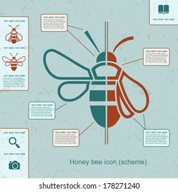 Modern flat honey Bee icon, Vector illustration, Concept with icon, Schema information