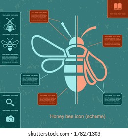 Modern flat honey Bee icon, Vector illustration, Concept with icon, Schema information