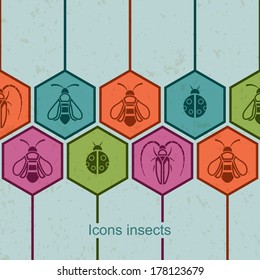 Modern flat icons insects, Vector illustration, Concept with icons set, Honey Bee, Wasp, Beetle