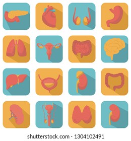 Modern flat icons vector set with long shadow effect in stylish colors of human organs. Square vector icons of human organs