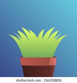 Modern flat illustration of indoor plants. Plants pot vector.