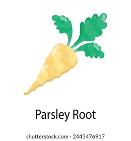 Modern flat sticker of parsley root