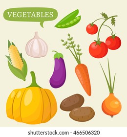 Modern flat style fresh vegetables on vector illustration nfographic elements.