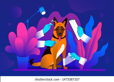 Modern flat vector concept  illustration. Dog treatment metaphor in vet clinic,- dog and hands wearing gloves  with a stethoscope , with clipboard, and bandae. Veterinary service, pharmacy and clinic.