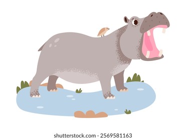 Modern flat vector of a hippopotamus. Hippo in a safari setting.