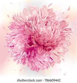 Modern floral art - Pink Asters and Chrysanthemums. Spring flower vector composition made in the form of a ball for wedding decoration, Valentine's Day,  Mother's Day and sales