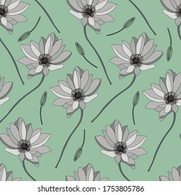 Patrón floral moderno. Patrón de flores silvestres. Fondo verde claro, flores blancas. Adonis, Echinacea, Chamomile. Ilustración vectorial.