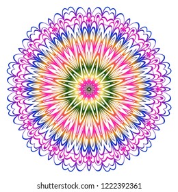 Modern floral vector ornaments. Decorative flower mandala. vector illustration