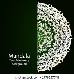 Modern floral vector ornaments. Decorative flower mandala. vector illustration