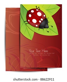 modern flyer/cover design with lady bug