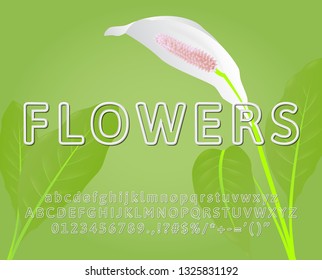 Modern Font Effect with Cut Letters and Simple Shadow