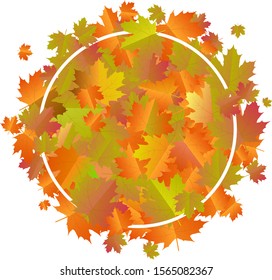Modern frame with yellowed autumn leaves.