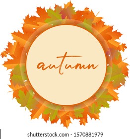 Modern frame with yellowed autumn leaves.