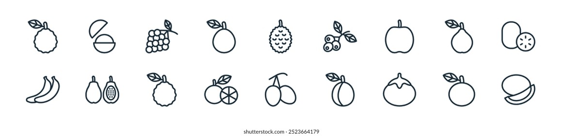 modern fruit icon pack. perfect for linear ui designs featuring vector cantaloupe, orange, persimmon, plum, kumquat, grapefruit, tangelo and more icons for mobile and web apps.