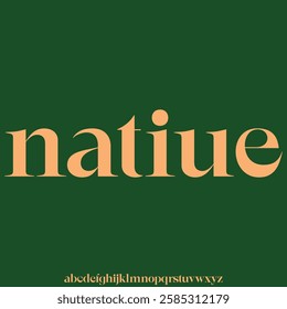 Modern geometric alphabet display font vector Native typography style design