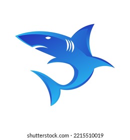 Modern geometric colorful shark logo icon vector