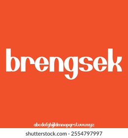 modern geometric elegant and unique alphabet font vector