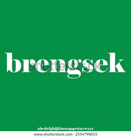 modern geometric elegant and unique alphabet font vector