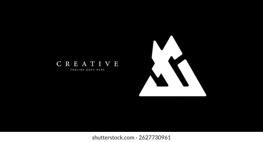 Modern geometric letter X logo