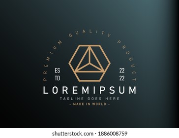 Modern geometric logo design. Vector illustration of combination geometric of tetrahedron and hexagon icon design. Vintage logo design vector line icon template