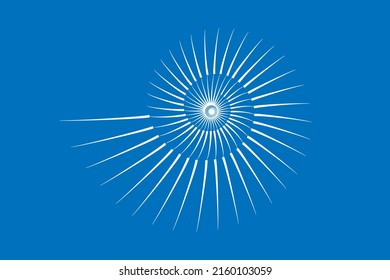 Modern Geometric Nautilus shell icon. Flat Logo vector illustration