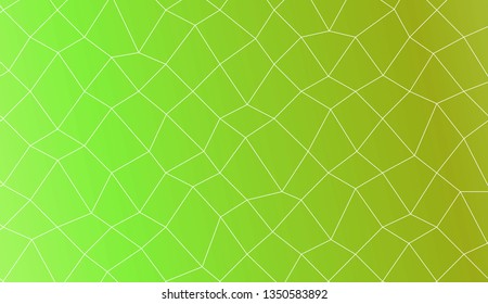 Modern geometrical abstract background with polygonal mesh elements Style for your business design. Vector illustration. Creative gradient color