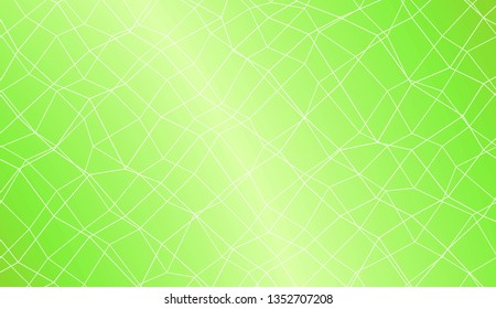 Modern geometrical abstract background with polygonal mesh elements Style for your business design. Vector illustration. Creative gradient color
