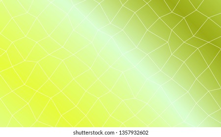 Modern geometrical abstract background with polygonal mesh elements Style for your business design. Vector illustration. Creative gradient color