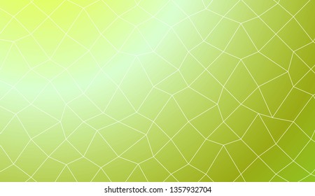 Modern geometrical abstract background with polygonal mesh elements Style for your business design. Vector illustration. Creative gradient color
