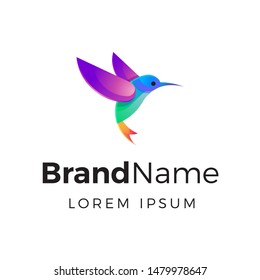 Modern gradient colorful hummingbird logo