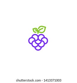 modern grape logo design template