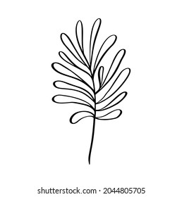Modern grass leaf vector abstrac illustration. Black and white line art style. Isolated Exotic jungle contemporary trendy illustration. Perfect for posters, instagram posts, stickers.