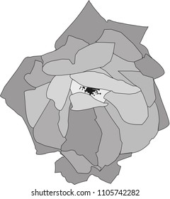 modern gray outlined rose