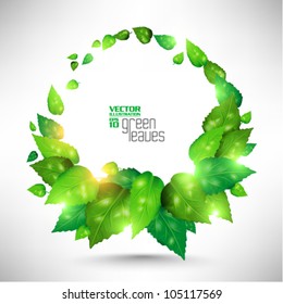 modern green fresh leaves vector design