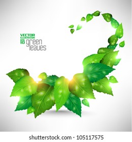 modern green fresh leaves vector design