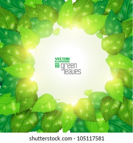 modern green fresh leaves vector design