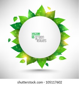 modern green fresh leaves vector design
