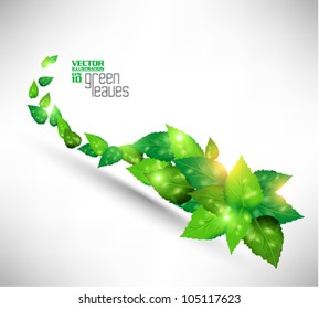 modern green fresh leaves vector design