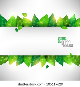 modern green fresh leaves vector design