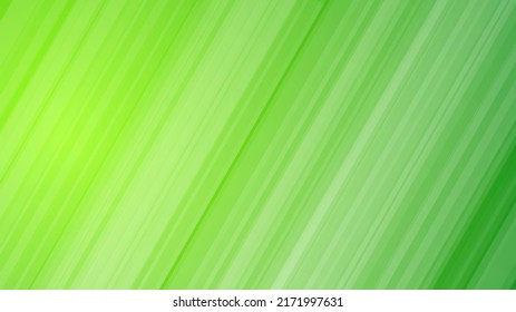 Modern green gradient backgrounds with lines. Header banner. Bright geometric abstract presentation backdrops. Vector illustration