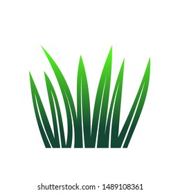 modern green grass vector illustration