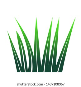 modern green grass vector illustration