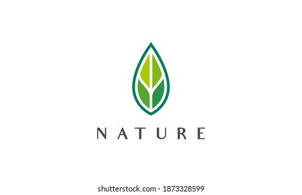 Modern green leaf logo in abstract and simple style